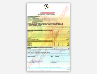 CIJFERLIJST - Fake Diploma Sample from Netherlands